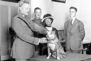 Gen. John Pershing awards Sgt. Stubby with a gold medal in 1921. Stubby served in 17 battles and fought in four major allied offensives during WWI. PHOTO: SMITHSONIAN INSTITUTION’S NATIONAL MUSEUM OF AMERICAN HISTORY